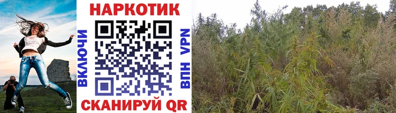 Купить наркотик Рассказово Гашиш Бошки Шишки А ПВП Мефедрон
