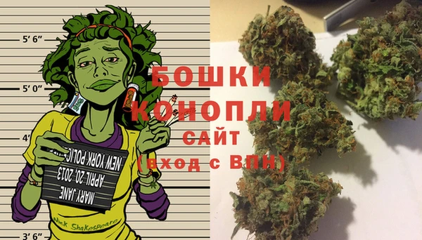 шишки Остров