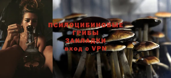 эйфоретик Осташков