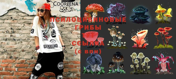 шишки Остров