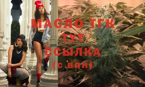 индика Иноземцево