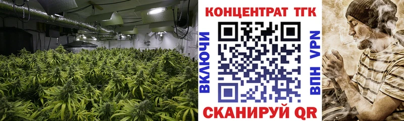 ТГК THC oil  mega зеркало  Рассказово 