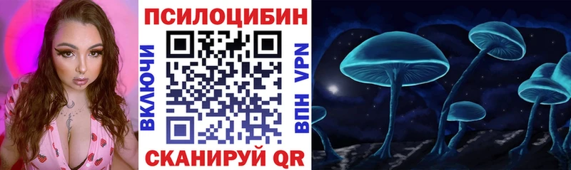Галлюциногенные грибы мухоморы  как найти   Рассказово 