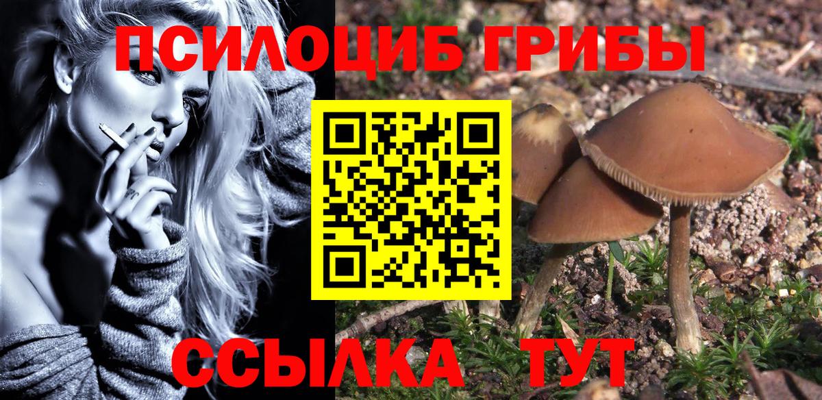 Галлюциногенные грибы мицелий  Вход с VPN  Рассказово 