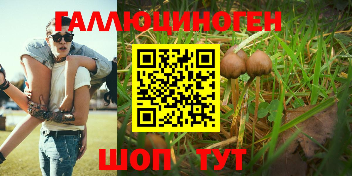 Галлюциногенные грибы мицелий Рассказово